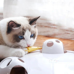 Interactive Mouse Pounch Cat Toy