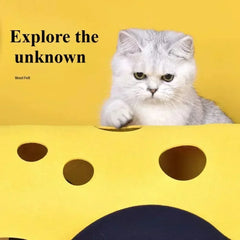 Cat Tunnels Toy