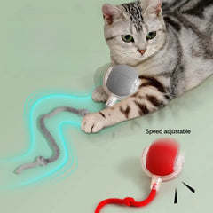 Bouncetug Play Ball - Sale✨